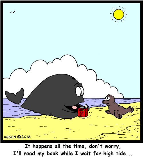 'It happens all the time, don't worry, I'll read my book while I wait for high tide...'