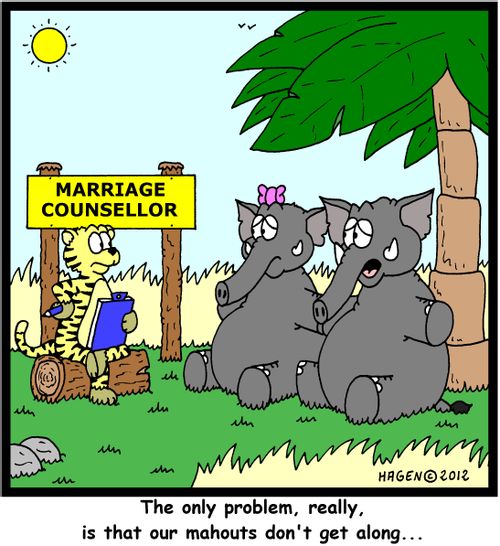 'The only problem, really is that our mahouts don't get along...'