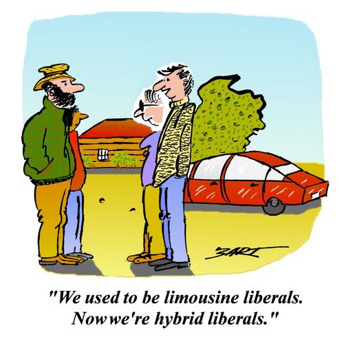 'We used to be limousine liberals. Now we're hybrid liberals.'