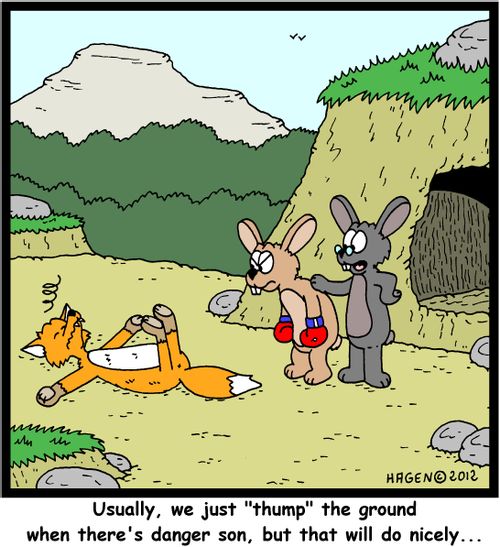 'Usually, we just 'thump' the ground when there's danger son, but that will do nicely...'