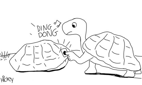 Turtle rings doorbell of another turtle.