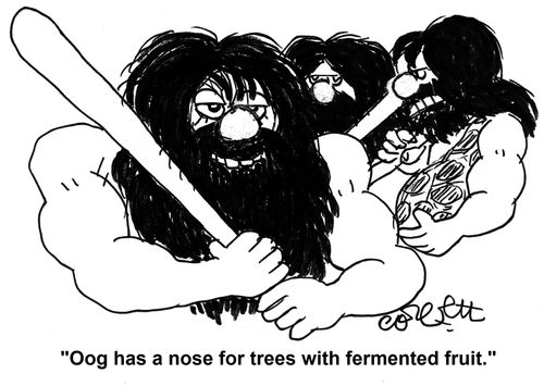 'Oog has a nose for trees with fermented fruit.'