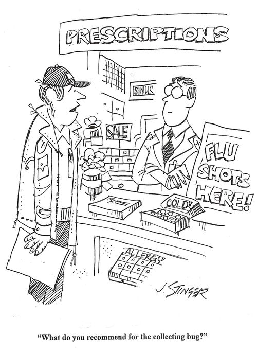 'What do you recommend for the collecting bug?'