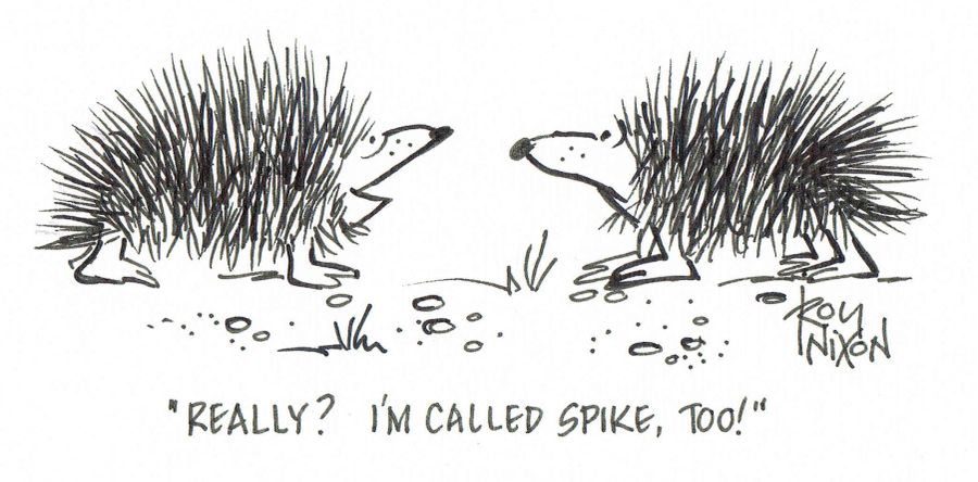 'Really? I'm called Spike, too!'