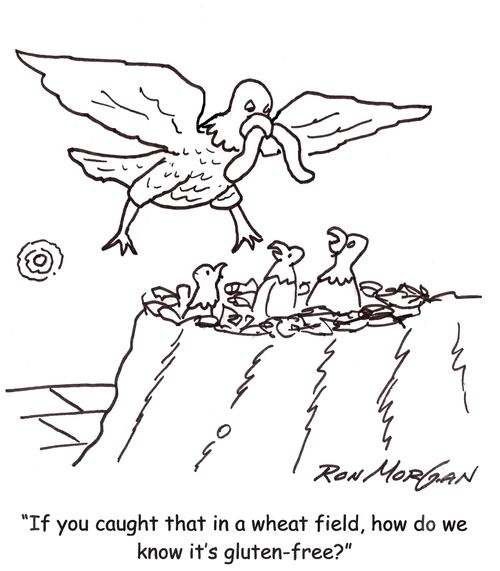 'If you caught that in a wheat field, how do we know it's gluten-free?'