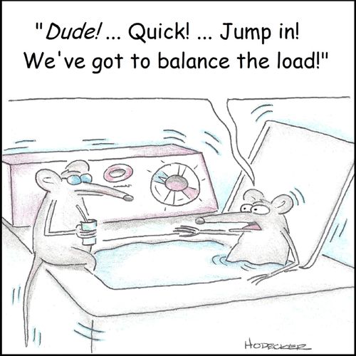 'Dude! Quick! Jump in! We've got to balance the load!'