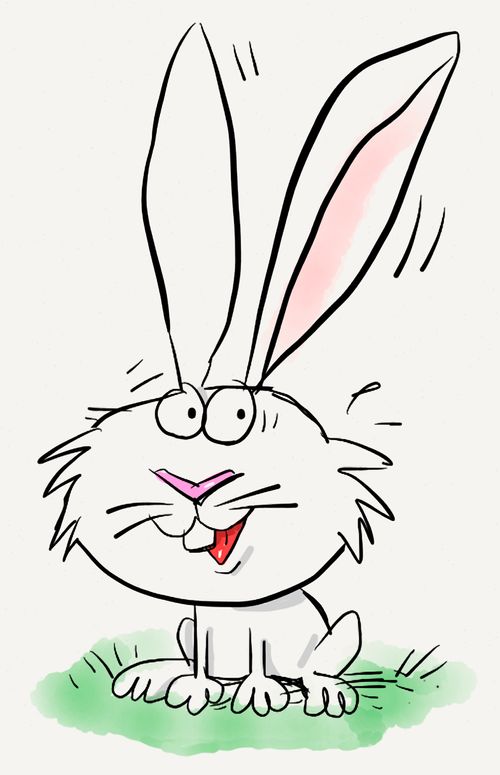 A smiling white rabbit