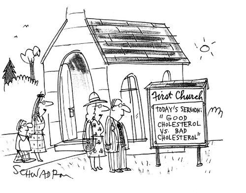 'Today's Sermon: Good Cholestrol Vs. Bad Cholestrol'