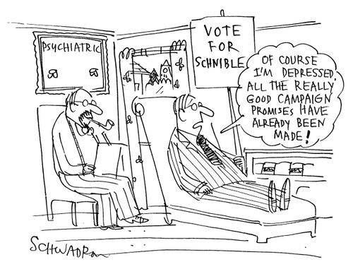 Vote for Scnible: 'Of course I'm depressed. All the good campaign promises have already been made!'
