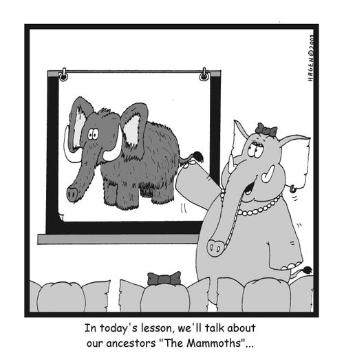 In today's lesson, we'll talk about our ancestors 'The Mammoths'