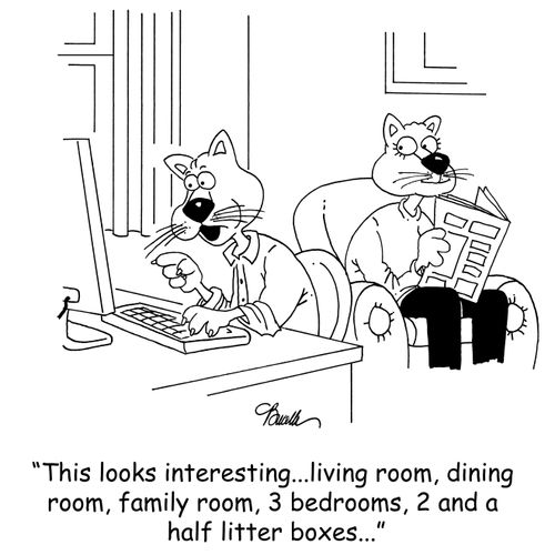 'This looks interesting...living room, dining room, family room, 3 bedrooms, 2 and a half litter boxes...'