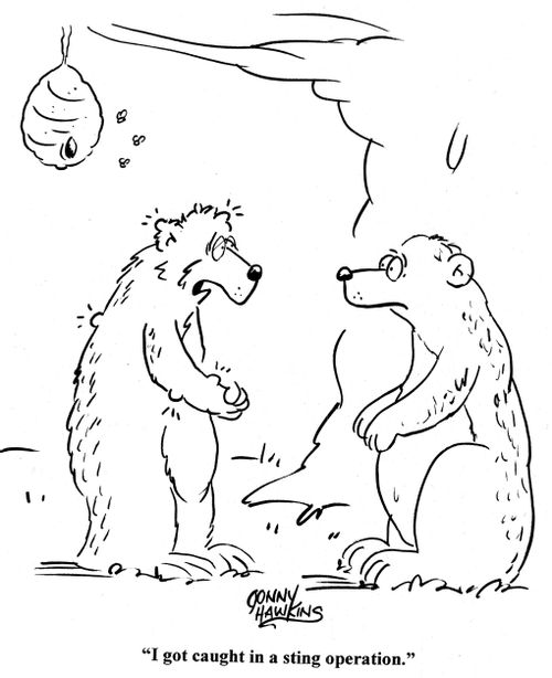 Bears stealing honey: 'I got caught in a sting operation.'