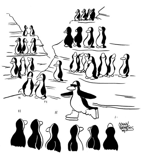 Penguins - one is skating.