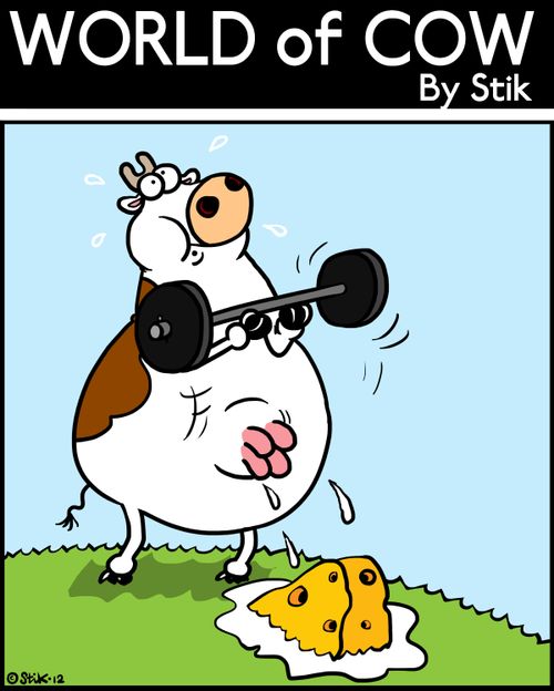 Cow Exerecise