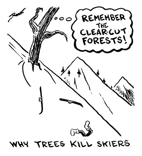 'Why trees kill skiers'