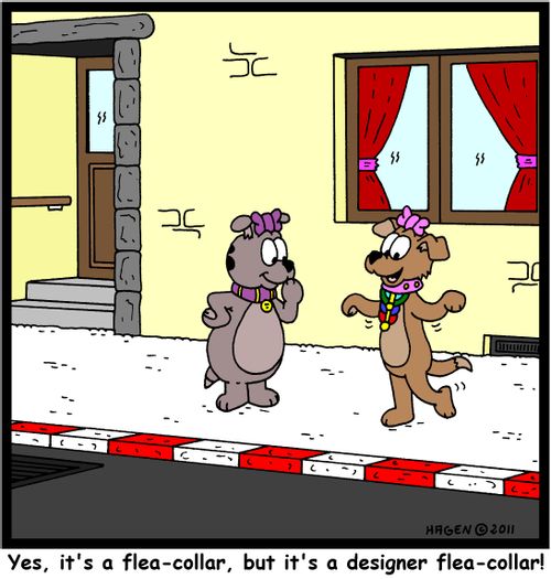 'Yes, it's a flea-collar, but it's a designer flea-collar!'