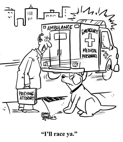 Lawyer to dog about ambulance: 'I'll race ya.'