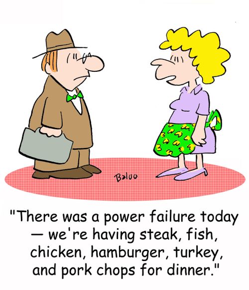'There was a power failure today - we're having steak, fish, chicken, hamburger, turkey, and pork chops for dinner.'