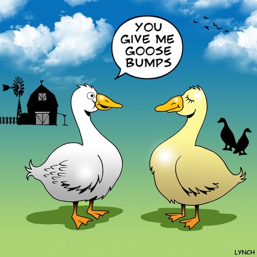 'You give me goose bumps.'