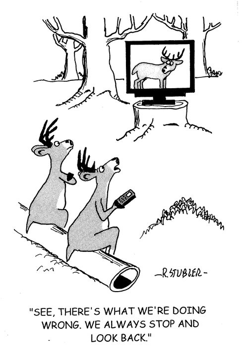 'See,there's what we are doing wrong.We always stop and look back.'