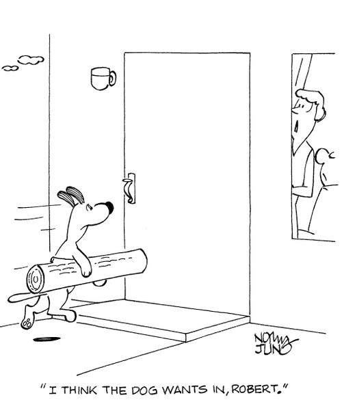 'I think the dog wants in, Robert.'