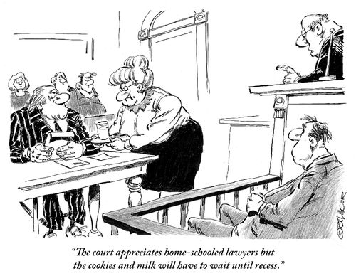 'The court appreciates home-schooled lawyers but the cookies and milk will have to wait until recess.'