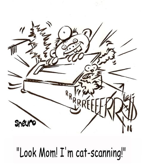 Look Mom! I'm cat-scanning!
