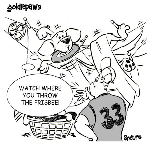 Watch where you throw the frisbee!