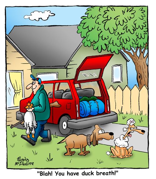 'Blah! You have duck breath!'