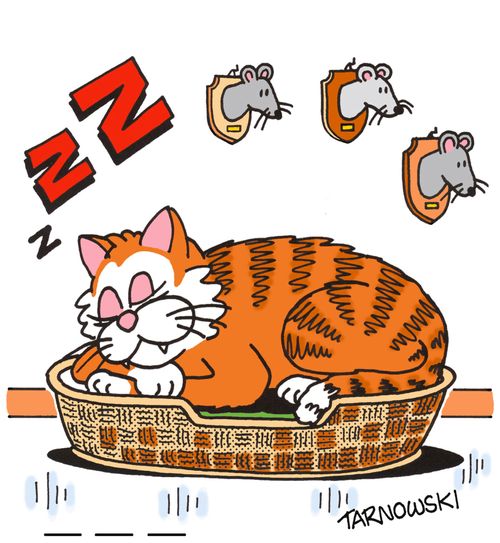 Cat's hunting trophies.