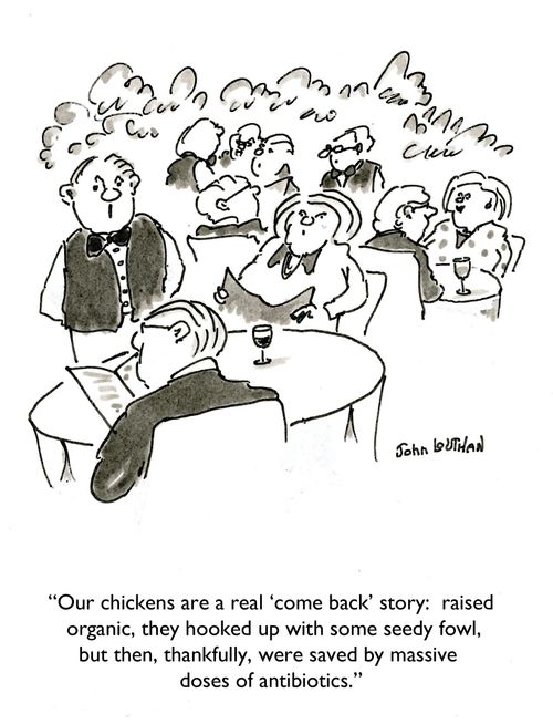 'Our chickens are a real 'come back' story: raised organic, they hooked up with some seedy fowl, but then, thankfully, were saved by massive doses of antibiotics.'
