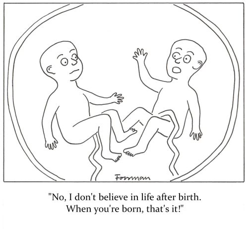 'No, I don't believe in life after birth. When you're born, you're born!'