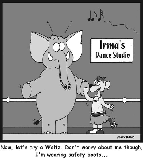 'Now, let's try a Waltz. Don't worry about me though, I'm wearing safety boots...'