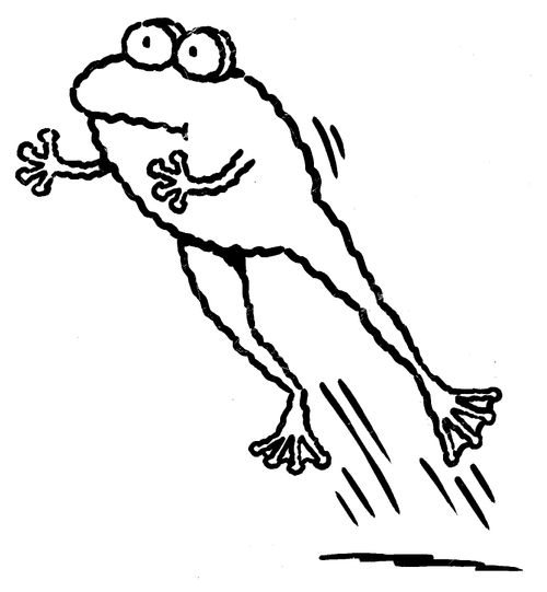 Frog.
