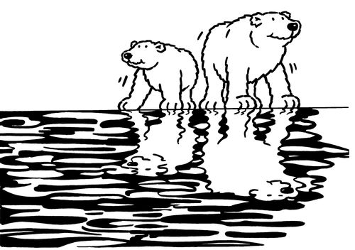 Polar bears and reflections #1 Two bears.