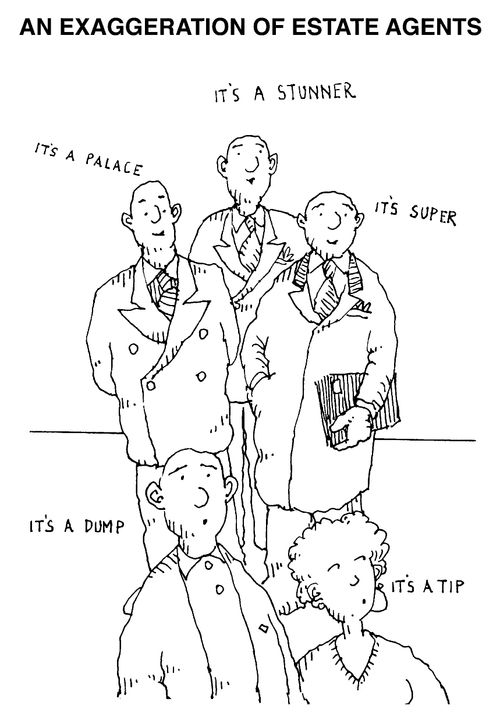 An exaggeration of estate agents