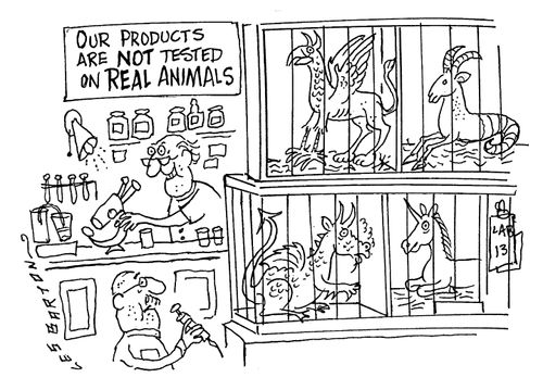Our Products Are Not Tested On Real Animals