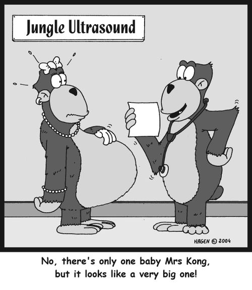'No, there's only one baby Mrs Kong, but it looks like a very big one!'