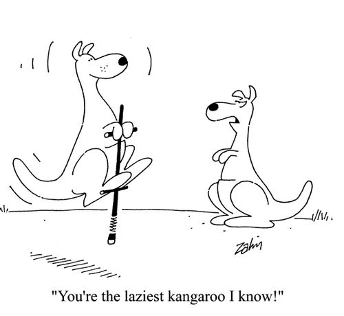 'You're the laziest kangaroo I know!'