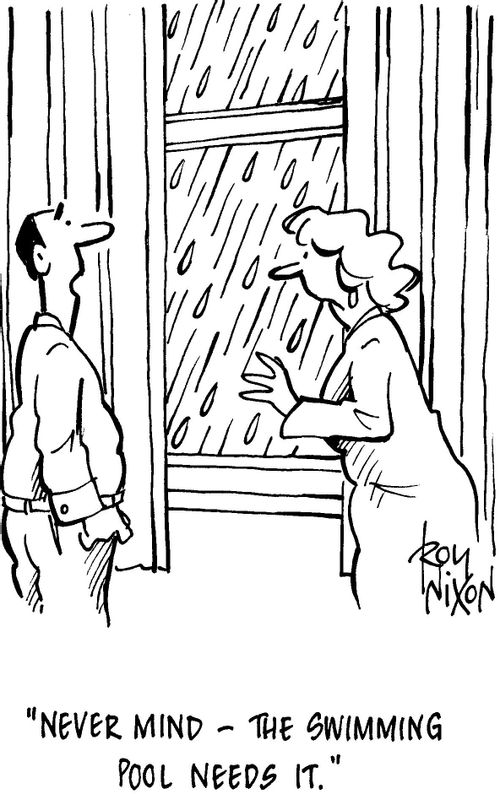 'Never mind - the swimming pool needs it.'
