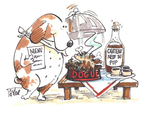 Posh dog views expensive food and wine.