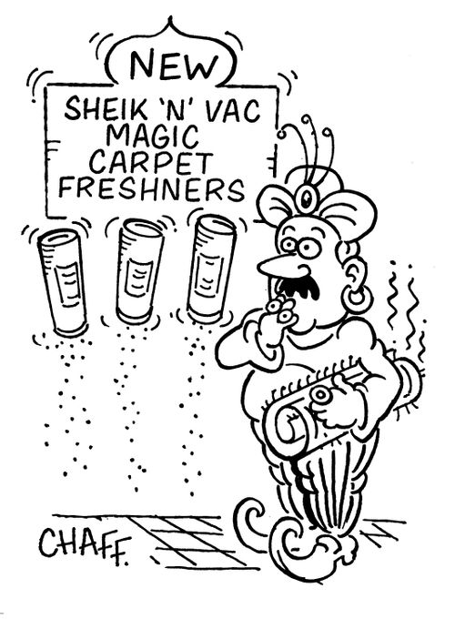 New Sheik'n'vac magic carpet freshners.