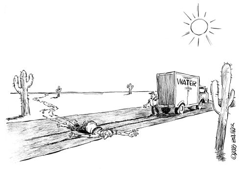 Desert crawler killed by water truck.