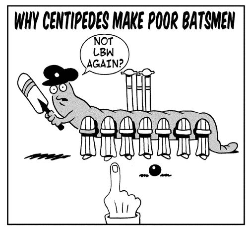 Why centipedes make poor batsman.  'Not LBW again?'