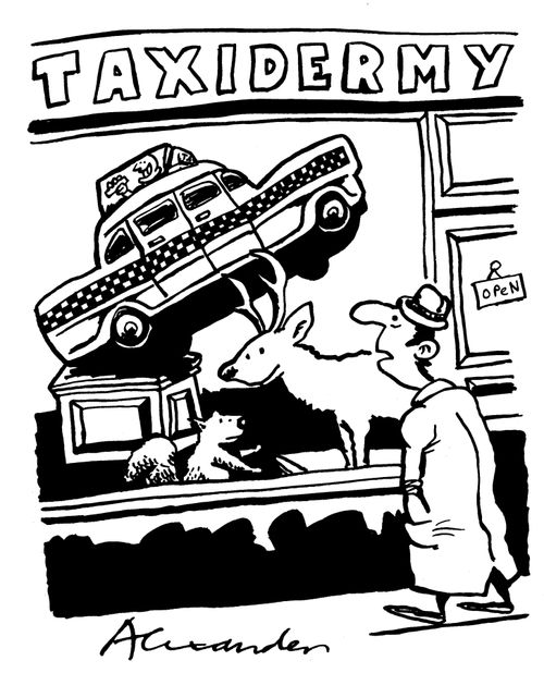 Taxidermy.