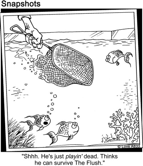 'Shhh. He's just playin' dead. Thinks he can service The Flush.'