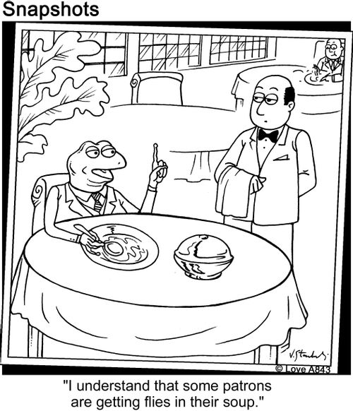 'I understand that some patrons are getting flies in their soup.'