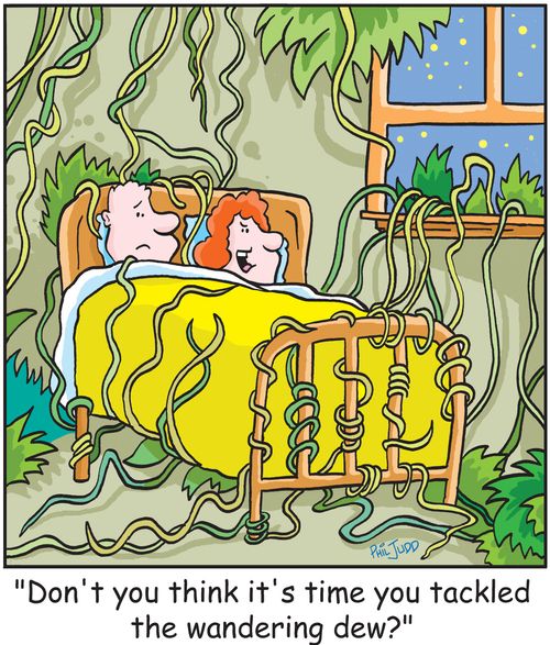 'Don't you think it's time you tackled the wandering dew?'