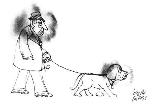 Dog and Owner Both Wandering Around in A Cloud.