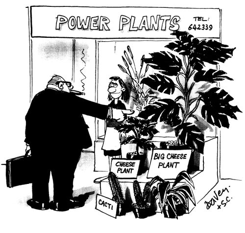 Power Plants